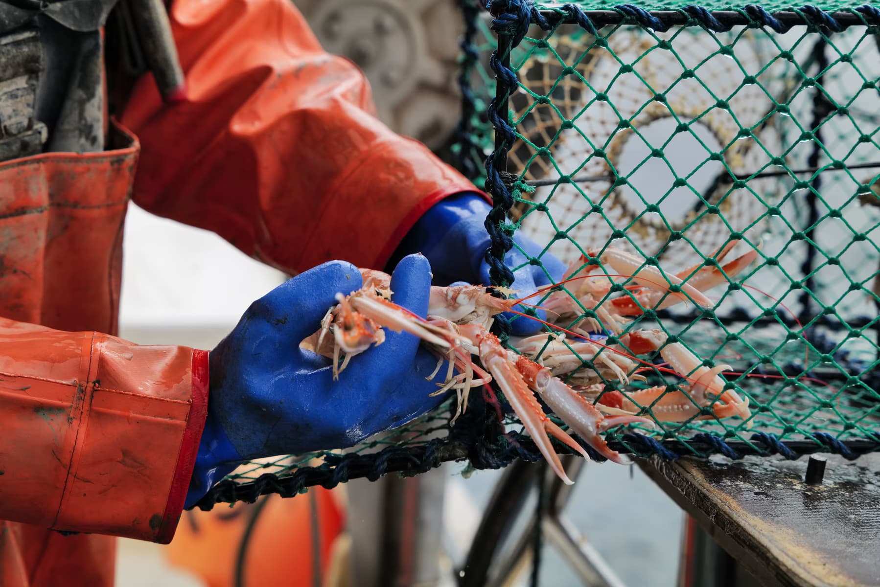 Bli fiskare för en dag — bild 6