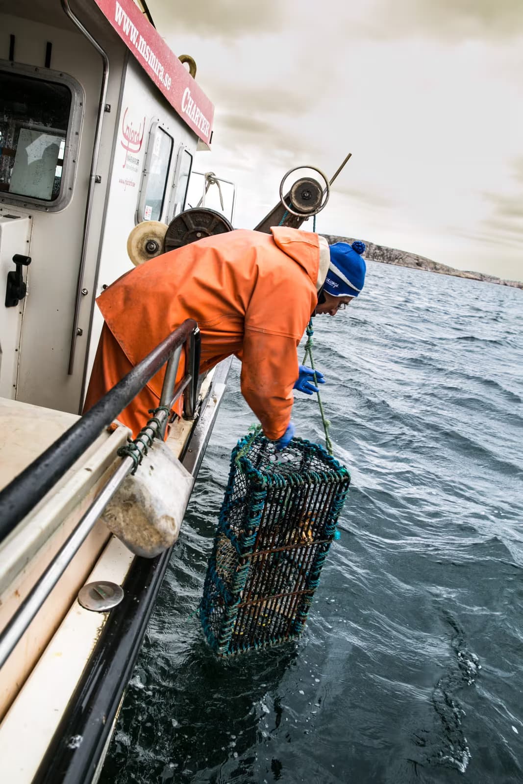 Hummersafari — bild 2