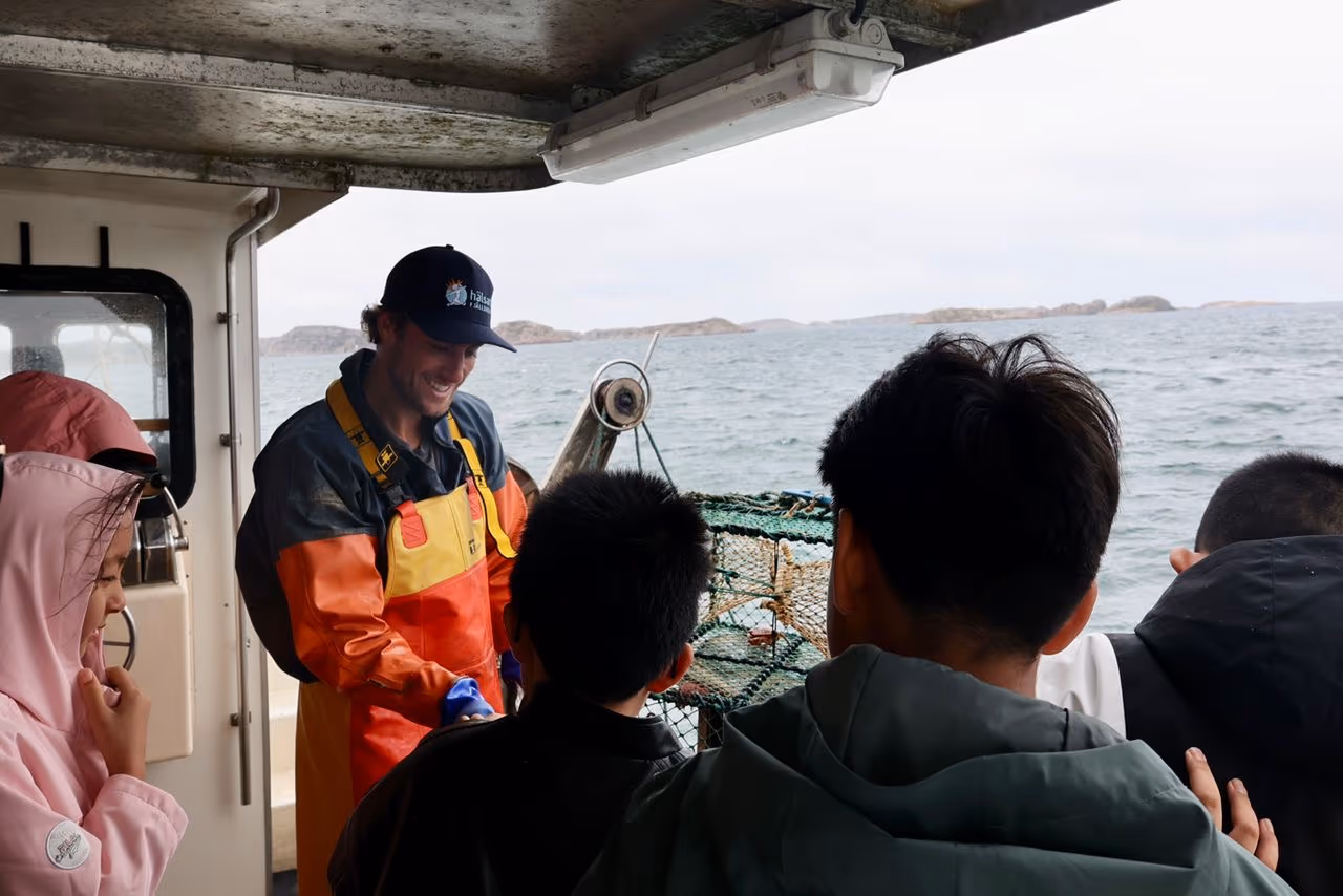 Hummersafari — bild 4