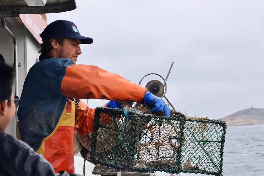 Kräftfiske — bild 4