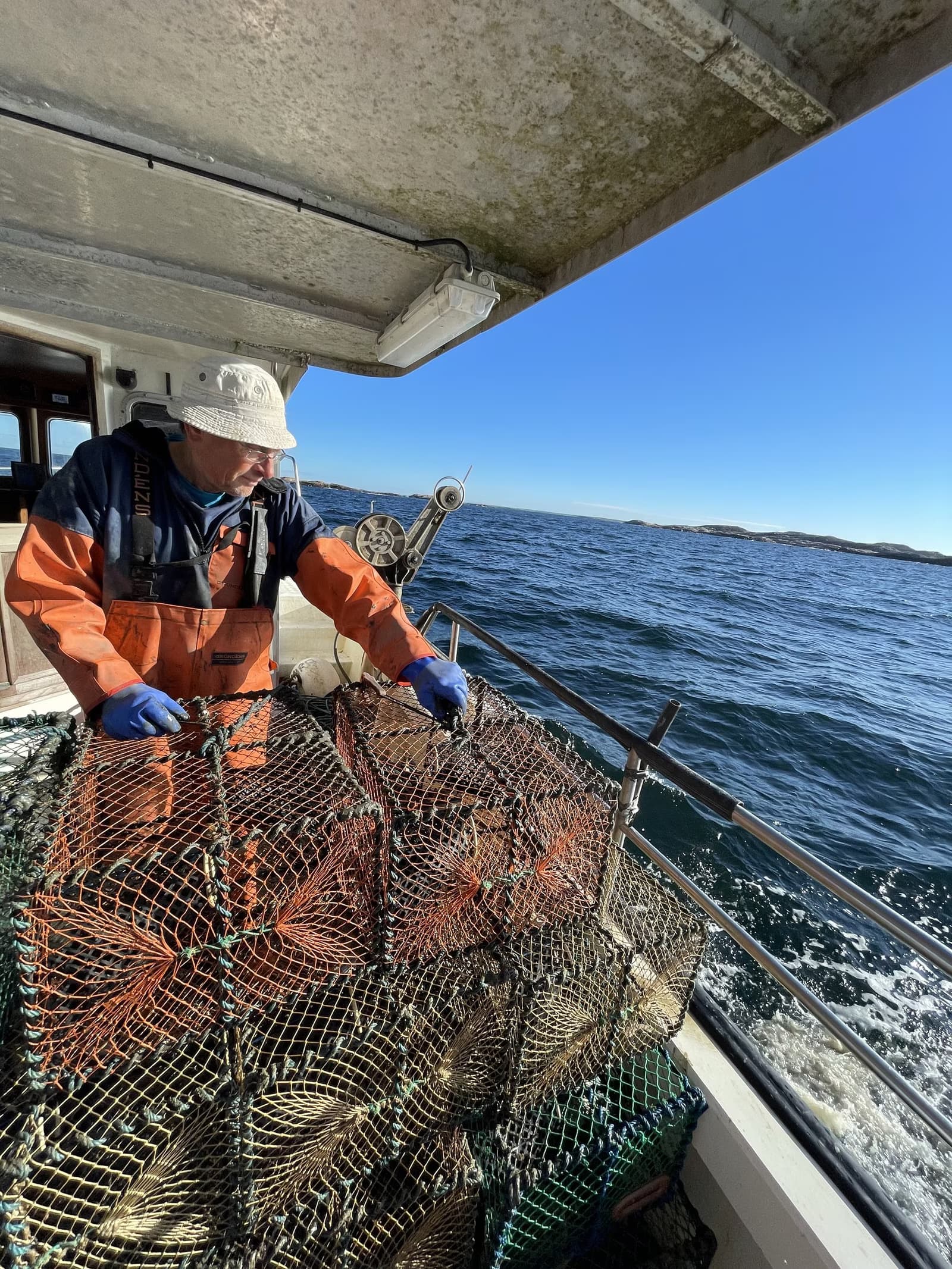 Kräftfiske — bild 6