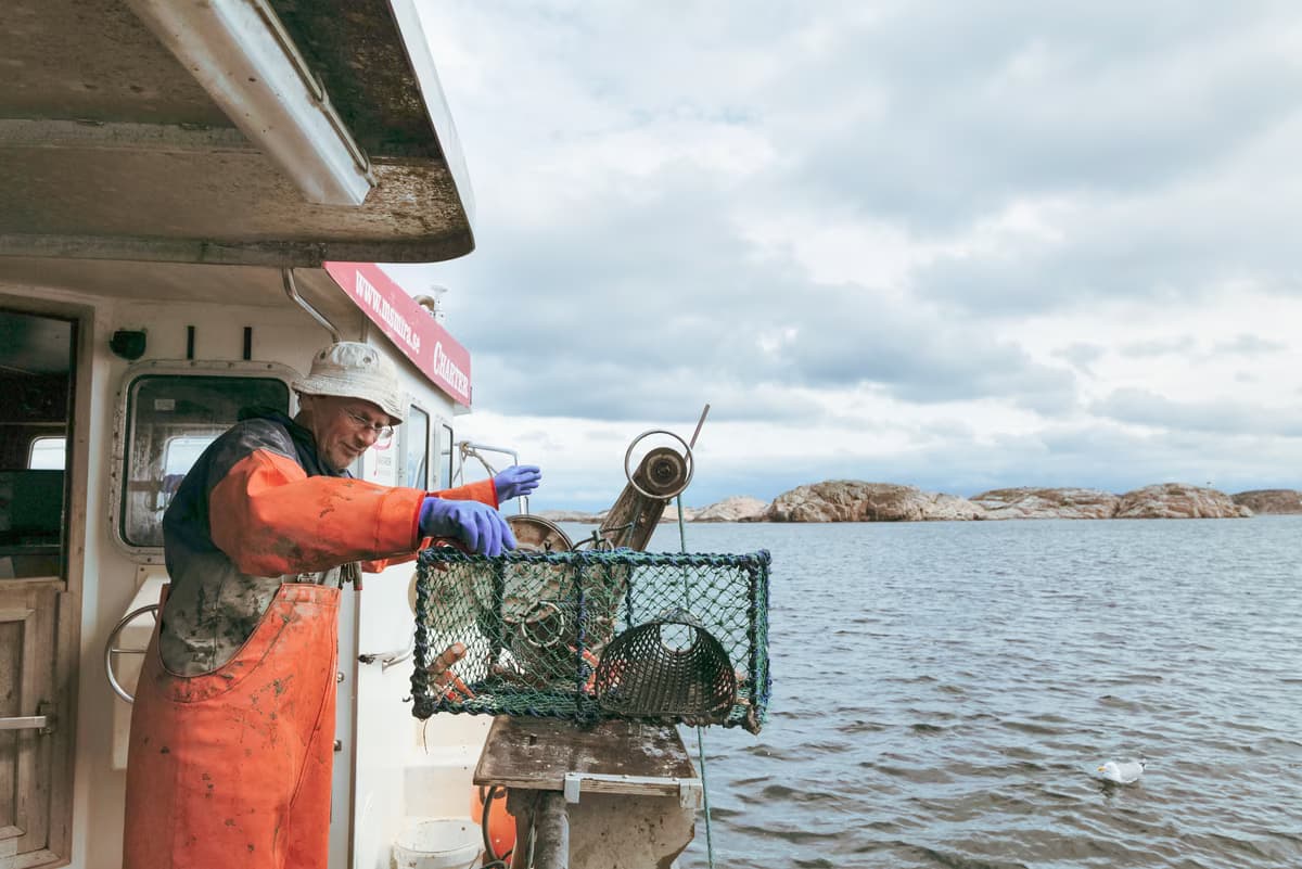 Become a fisherman for a day